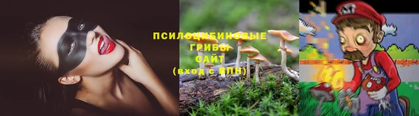 эйфоретик Богданович