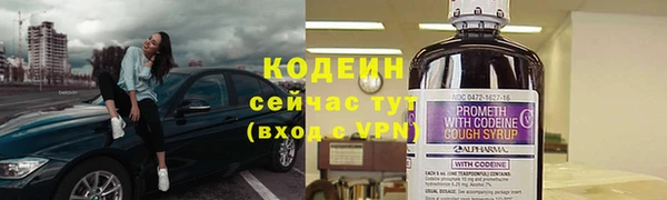 гашик Коряжма