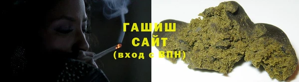 индика Белокуриха