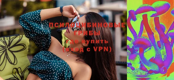 гидропоника Богородицк