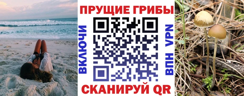 Псилоцибиновые грибы GOLDEN TEACHER  МЕГА сайт  Биробиджан 